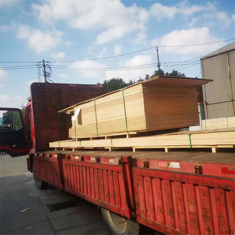湛江到河北物流公司——一站式服务，让货运更便捷